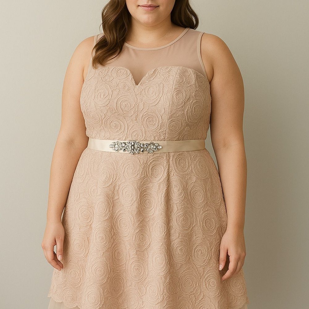Ryu Lace Embellished Sleeveless Knee Length Dress in Tan Large